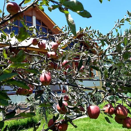 Heavenly Daze Cottage Manali (Himachal Pradesh) Bagian luar foto